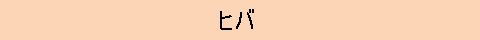びしゃく　
