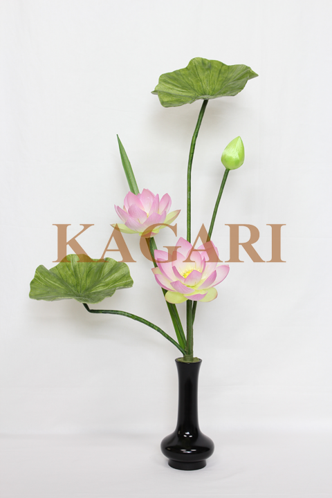 シルク常華（蓮）5本立