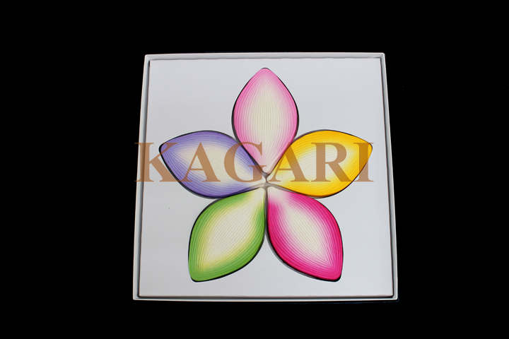 五色のハスの花弁（化粧箱入）