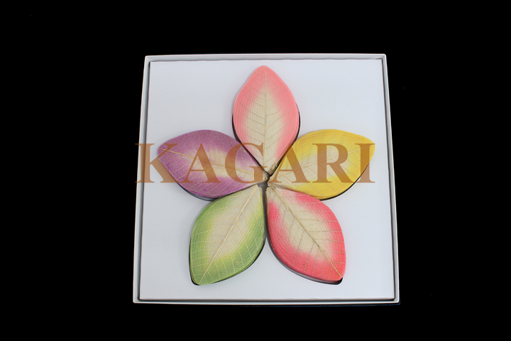 五色の上ハスの花弁（化粧箱入）